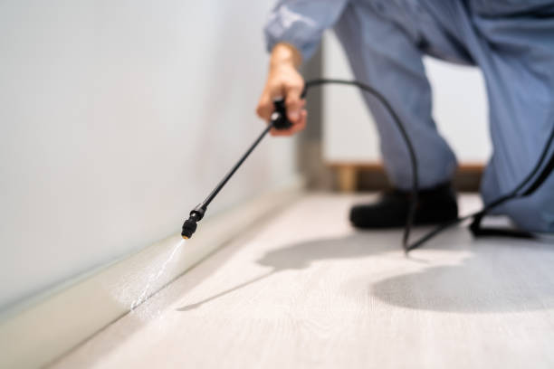 Licensed Pest Control service in Beverly Hills, CA - Show Me Pest Control